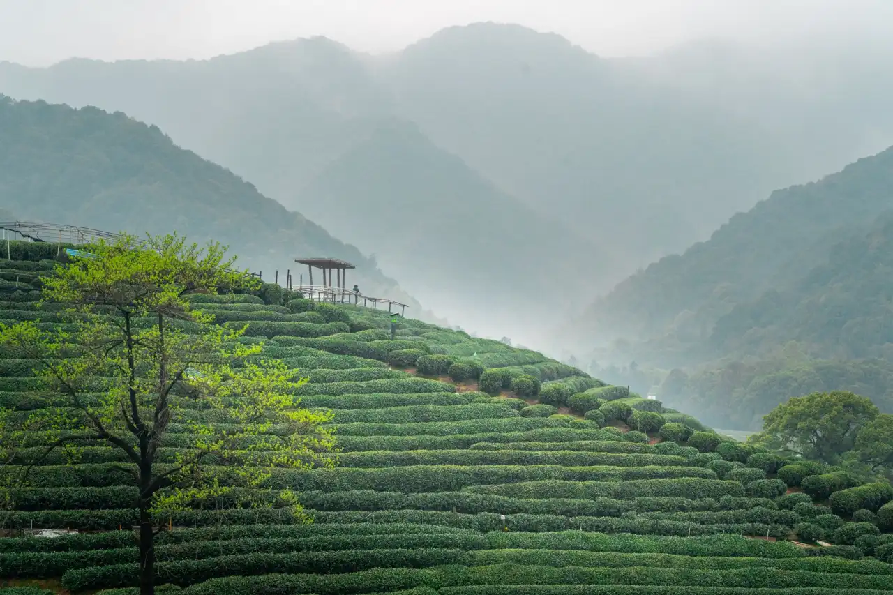 上海旺琦飞电子商务有限公司服装鞋帽箱包皮具产品中心选品与供应体系解析