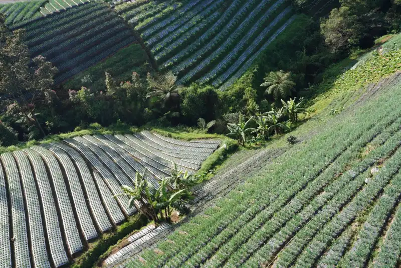 服装鞋帽与箱包皮具电商零售正品保障体系与物流时效对比分析