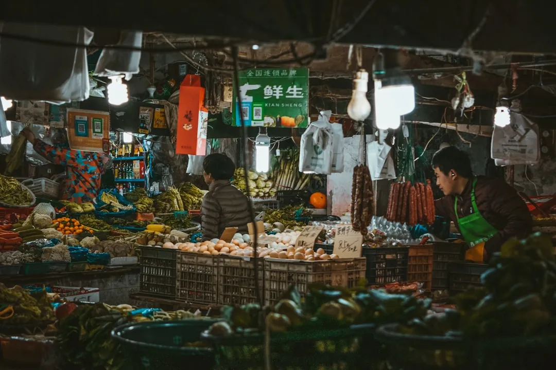 2025年箱包皮具行业新材料应用趋势分析